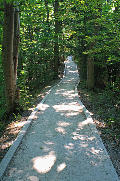 the trail on top of the ridge in rosy mound natural area