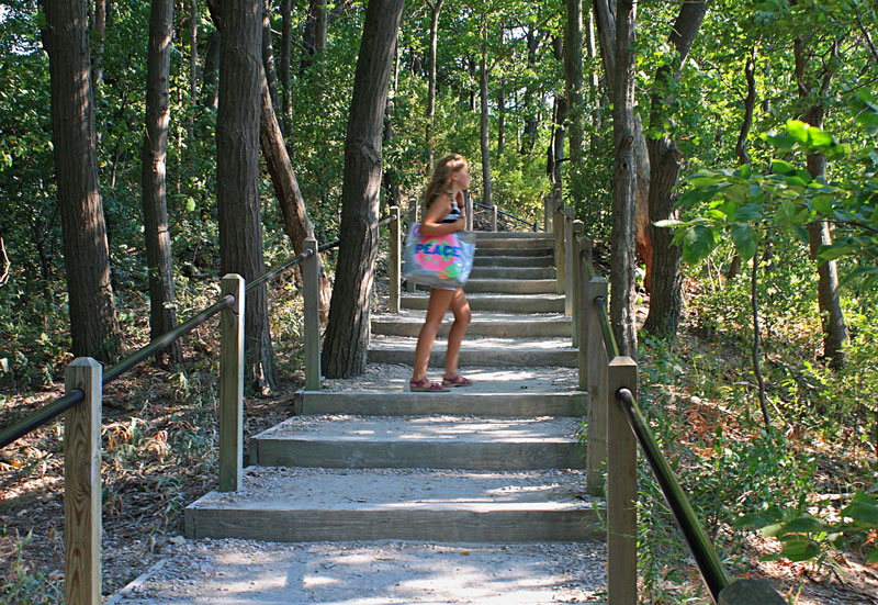 stairs rosy mound natural area