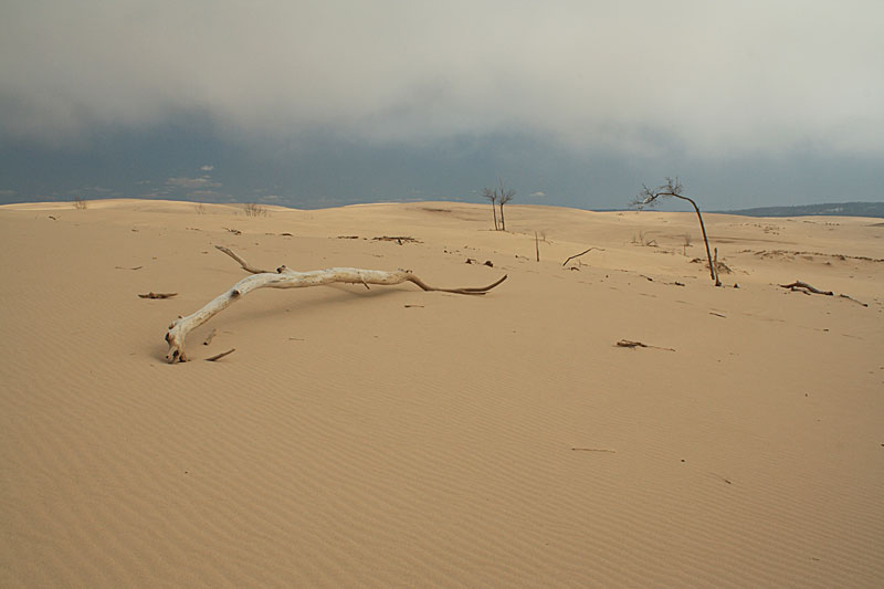 fog rolling in over the dunes off lake michigan