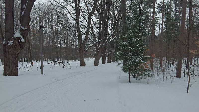 groomed cross country ski trail at pigeon creek park