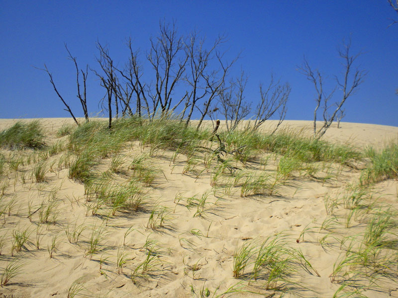 silver lake dunes