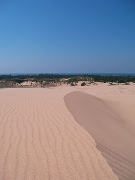 sliver lake sand dunes