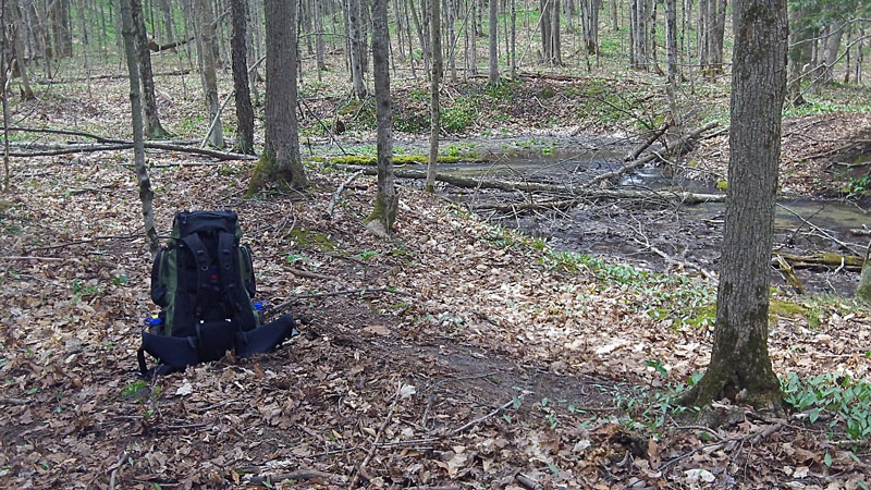 lunch stop along section 13 creek