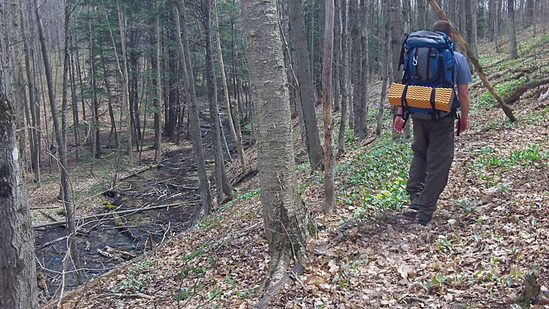 heading up from section 13 creek