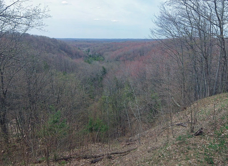 the landslide overlook