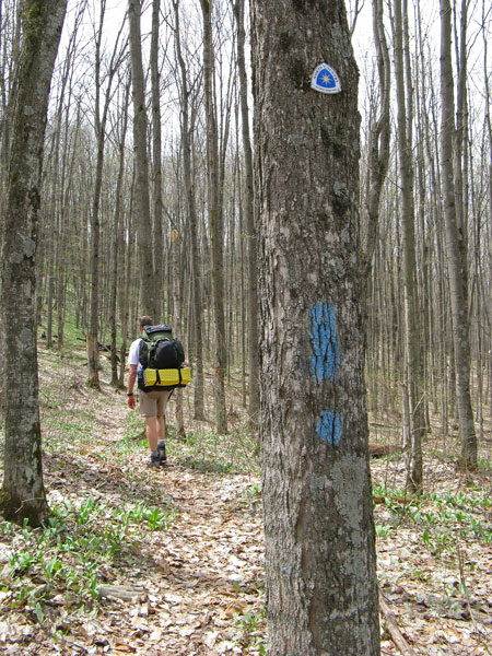 trail markers after landslide overlook