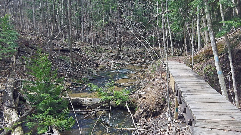 the hiker bridge along cascade creek