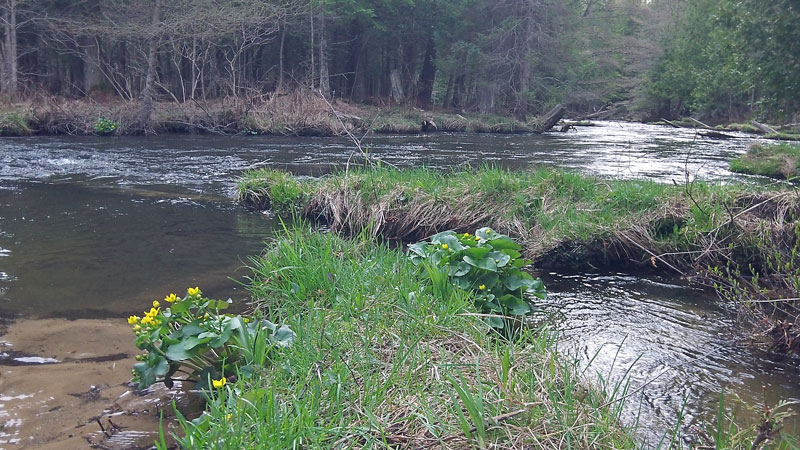 the jordan river