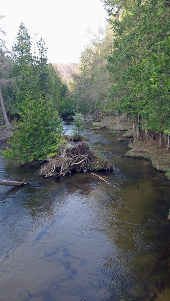 the jordan river from pinney bridge