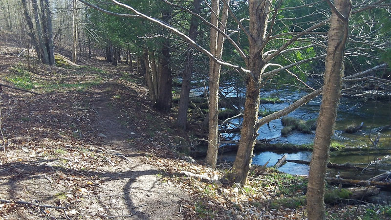 trail along the jordan river