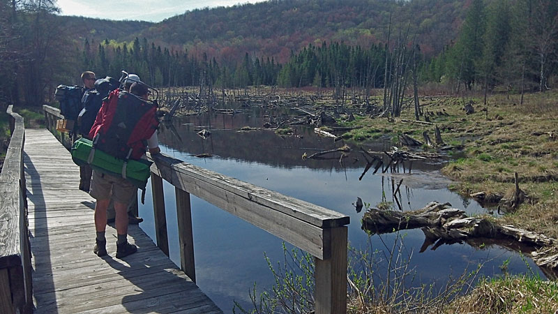 crossing the beaver ponds on jordan river pathway