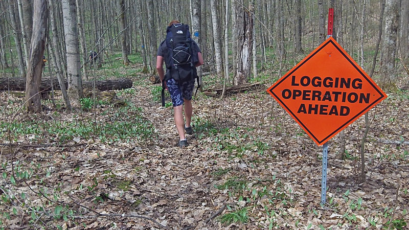 logging sign along the jordan river pathway