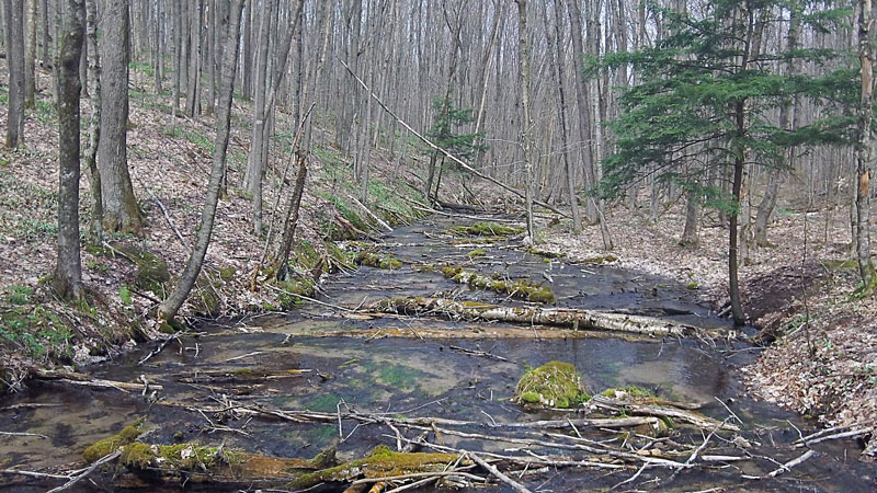 looking up stream from the bridge