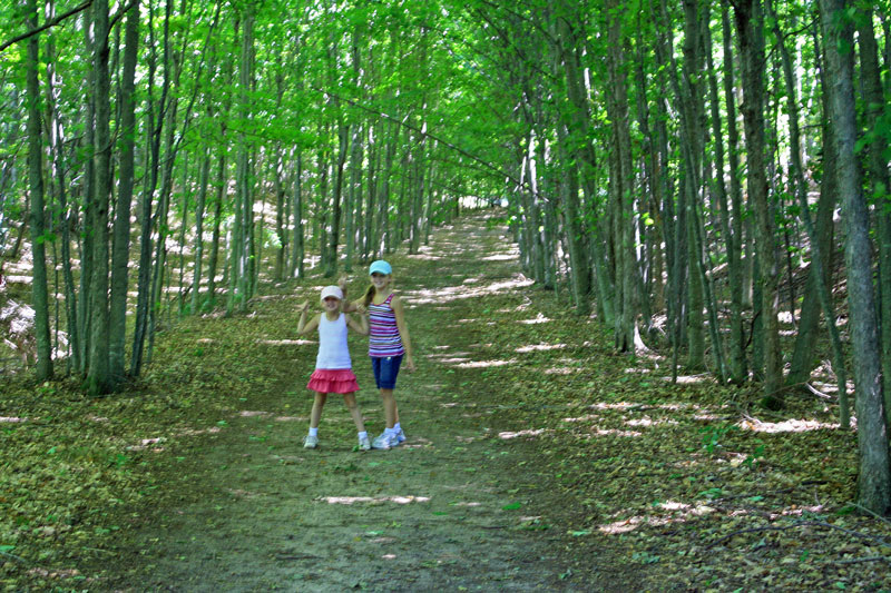 alligator hill trail sleeping bear